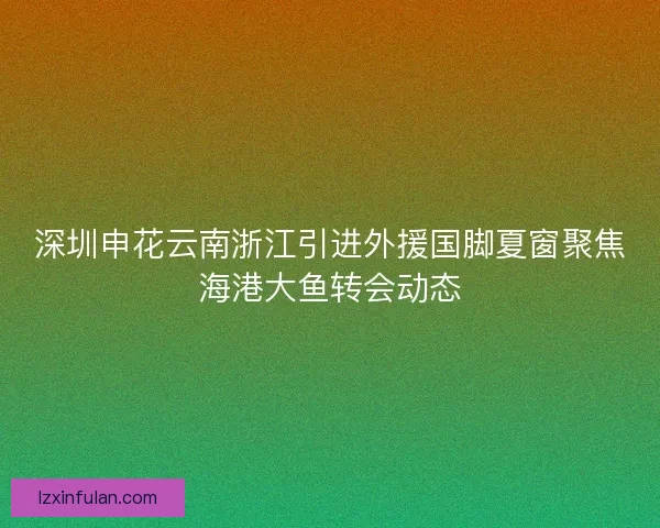 深圳申花云南浙江引进外援国脚夏窗聚焦海港大鱼转会动态